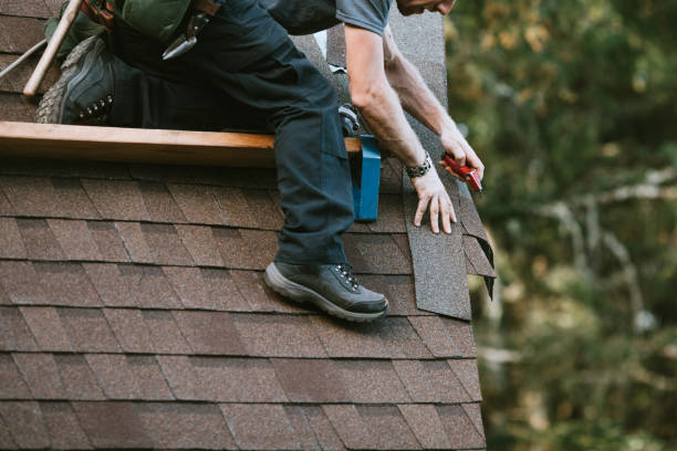 Best Gutter Installation and Roofing  in Kingston, TN